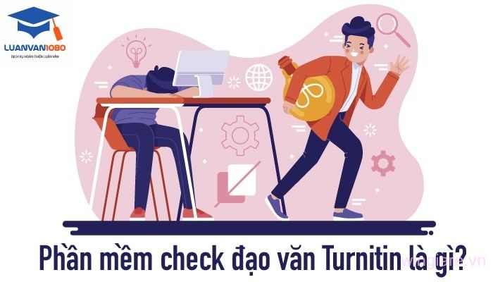 Phân tích kết quả kiểm tra đạo văn