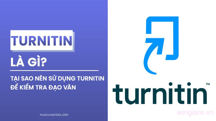 Turnitin Pros and Cons