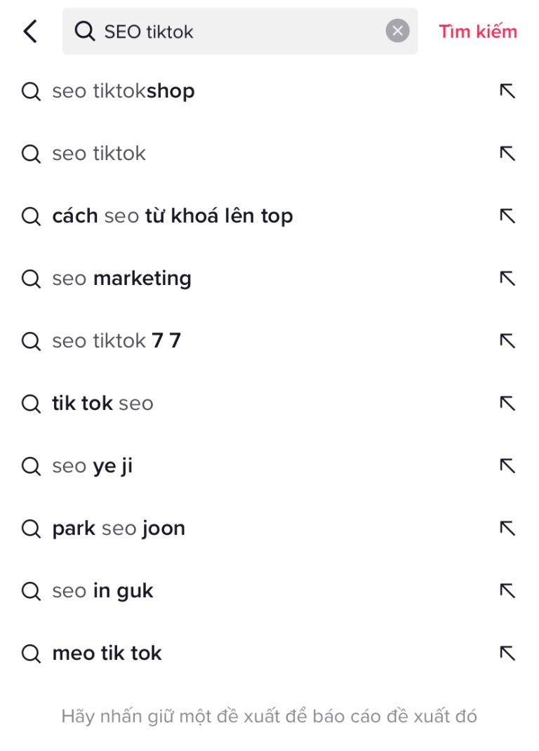 Cách Đặt Tên TikTok Chuẩn SEO Để Tối Ưu Hóa Kênh